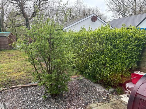 Riverchapel Guesthouse Vacation rental in Ireland