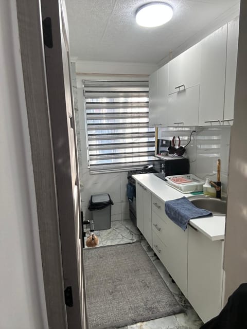 Apartament Târg Craciun Apartment in Craiova