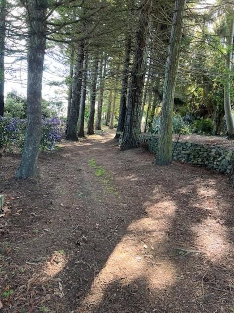 Wilben Cottage Patumahoe Apartment in Waikato