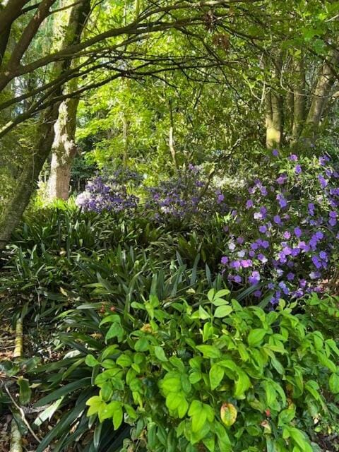 Wilben Cottage Patumahoe Apartment in Waikato