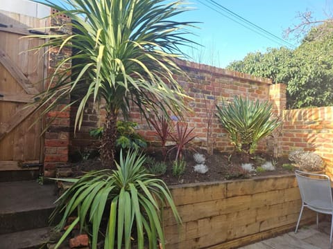 Patio, Garden, Garden view