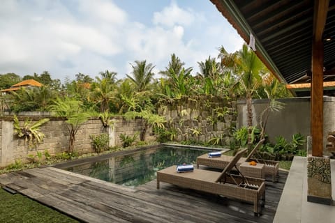 Natural landscape, Garden, Garden view, Pool view, Swimming pool, sunbed