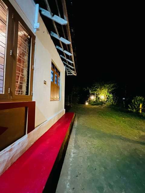Night, Garden view