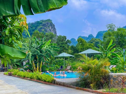 Garden, Swimming pool