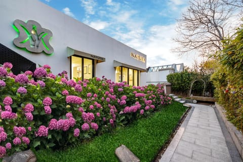 Property building, Day, Garden, Garden view