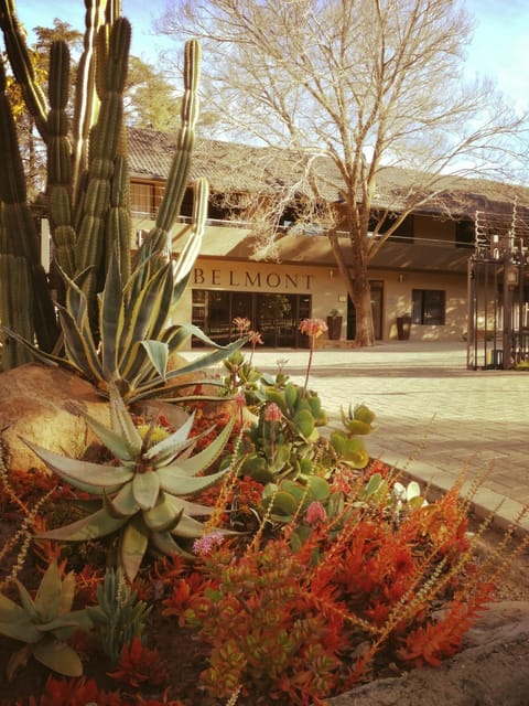 Garden, Street view