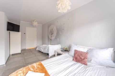 Bed, TV and multimedia, Photo of the whole room, Bedroom, towels