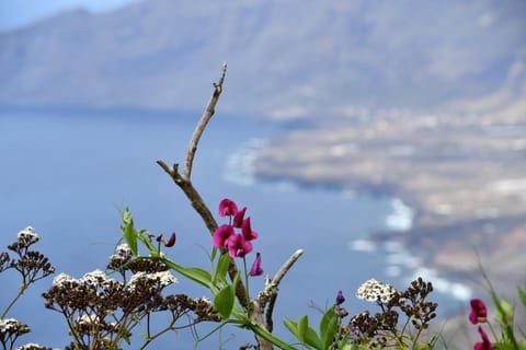 SABINOSA RURAL AREA Casa Benito House in El Hierro