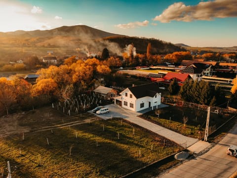 Property building, Nearby landmark, Spring, Day, Neighbourhood, Natural landscape, Bird's eye view, Garden, Landmark view, Mountain view, Street view, Location