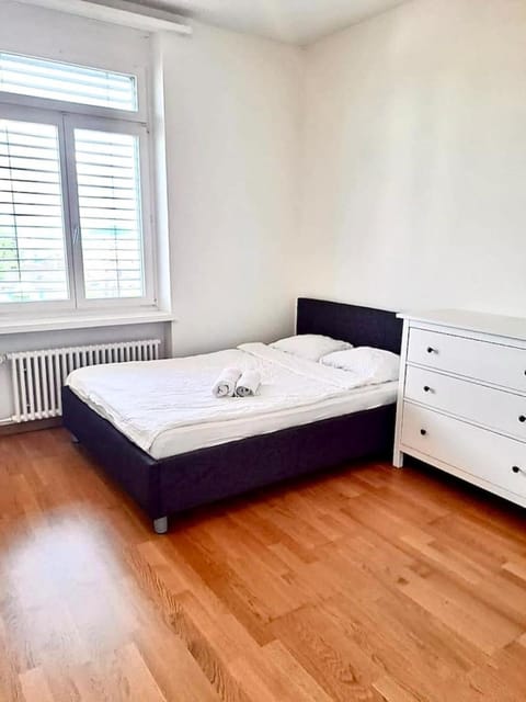 Superior Flat close to Zurich HB Uni Apartment in Zurich City