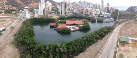 Bird's eye view, Lake view