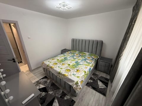 Casă Dulcu Apartment in Craiova