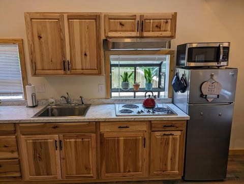 Little Fawn Lookout- Peaceful & Convenient Retreat Apartment in Kingsport