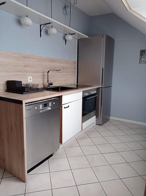 Kitchen or kitchenette, dishwasher, oven, stove