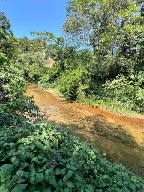 Natural landscape, River view