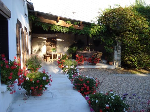 Property building, Patio, Garden