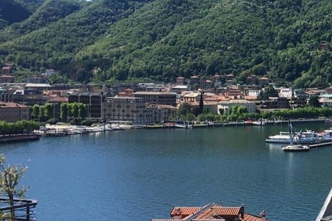 Lake view