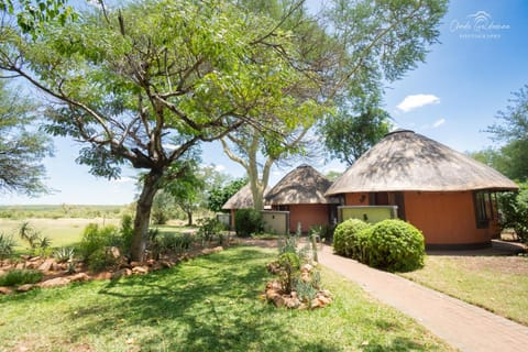 Property building, Garden view