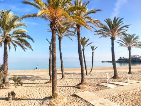 Nearby landmark, Day, Beach