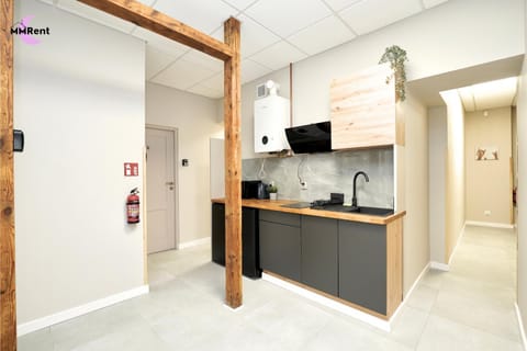 Kitchen or kitchenette, Kitchen or kitchenette, stove