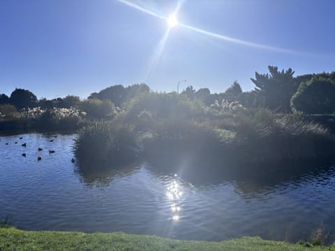 Natural landscape