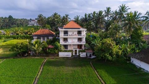 Property building, Spring, Day, Natural landscape, Garden, Garden view