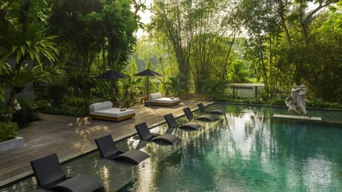 Day, Natural landscape, Garden, Pool view, Swimming pool, sunbed