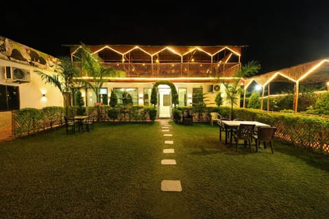 Property building, Night, Garden, Garden view