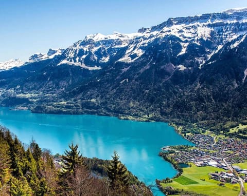 River-2 with Iconic Jungfraujoch View Apartment in Interlaken