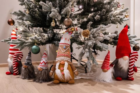 Arctic Haven City Villa Apartment in Rovaniemi