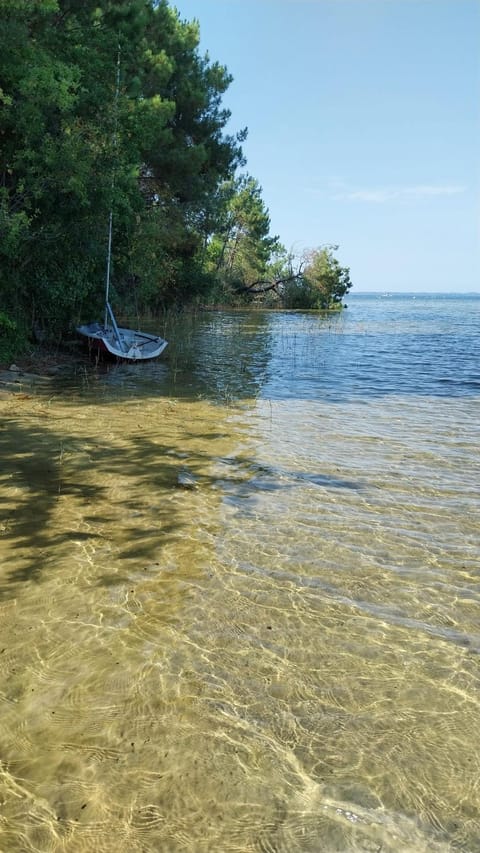 Natural landscape