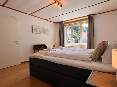 City Center Apartment 1 Apartment in Interlaken
