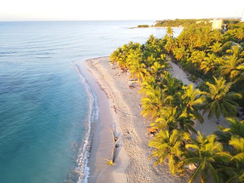 Bird's eye view, Beach, Beach