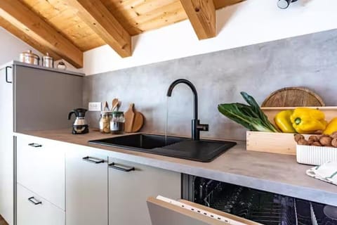 Kitchen or kitchenette, dishwasher, stove