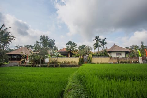 Neighbourhood, Natural landscape, Garden view