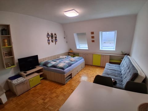 Bed, TV and multimedia, Living room, Seating area