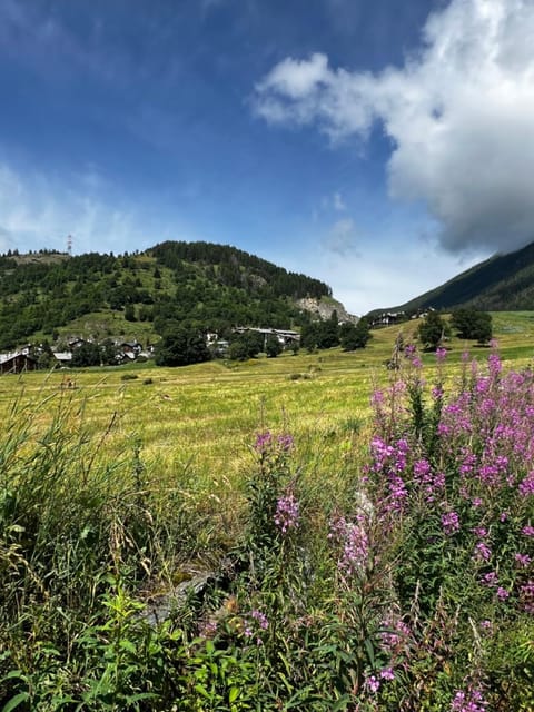 La Tavernetta di La Thuile Apartment in La Thuile