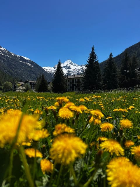 La Tavernetta di La Thuile Apartment in La Thuile
