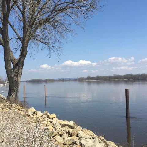 Mississippi waterfront getaway-Dogs Welcome! House in Brownsville