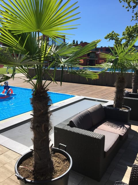 Day, Garden, Swimming pool