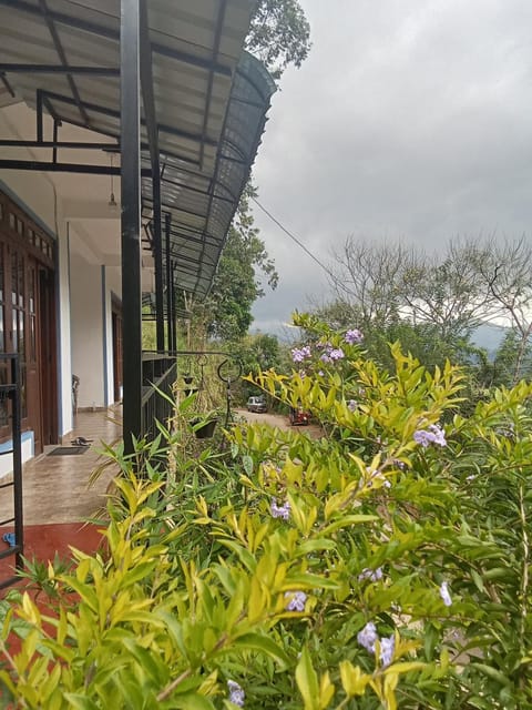 Property building, Garden view