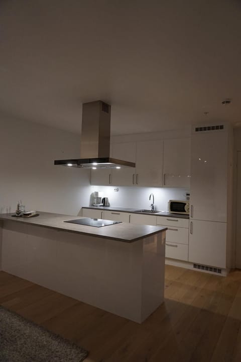 Arctic Panorama Residence Apartment in Tromso