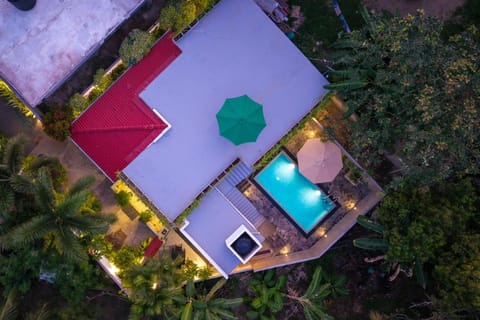 Garden, Garden view, Swimming pool
