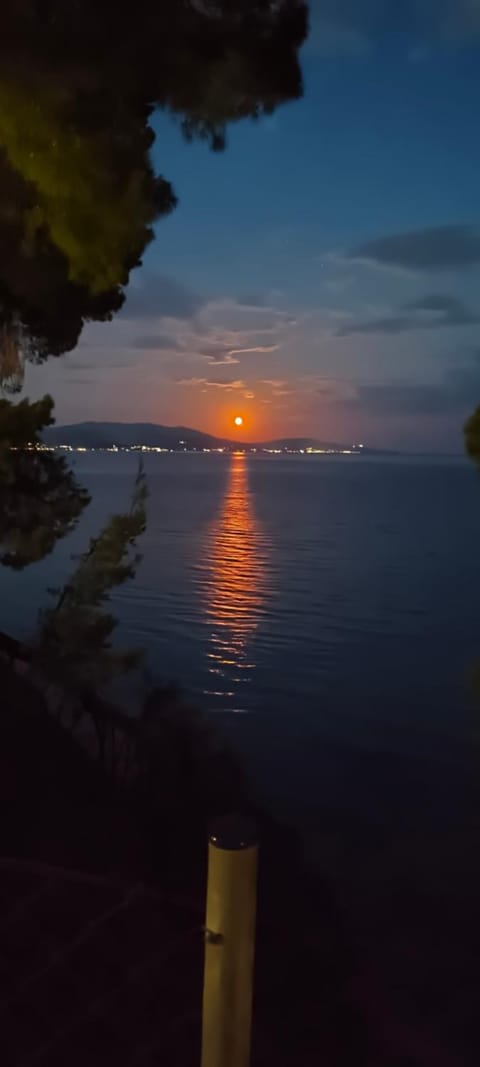 View (from property/room), Sea view, Location