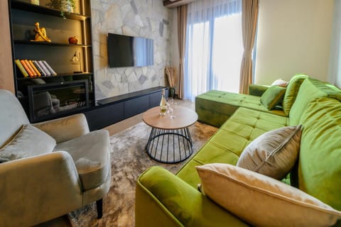 TV and multimedia, Living room, fireplace