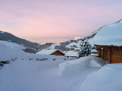Winter