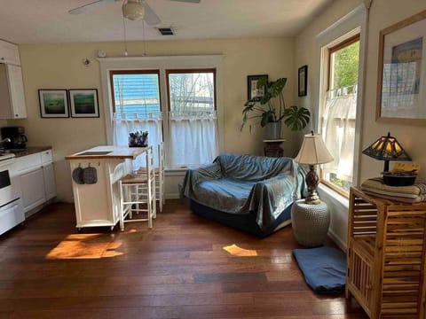 Hidden Gem! Sunny, Relaxing, Two-Room Apartment Apartment in Decatur