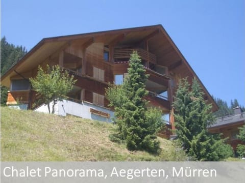 Apartment Panorama 2 Bett Wohnung by Interhome Apartment in Murren