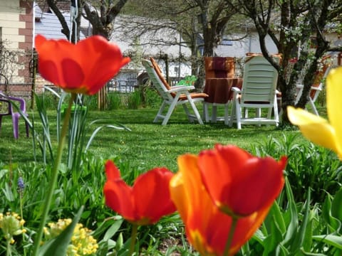 Apartment in Siesbach by Interhome Apartment in Rhineland-Palatinate