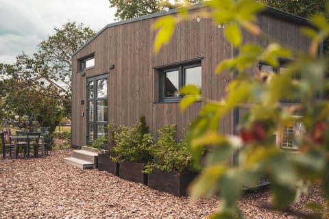 Property building, Spring, Day, Garden, Garden view